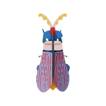 Afbeelding in Gallery-weergave laden, Striped Wing Beetle
