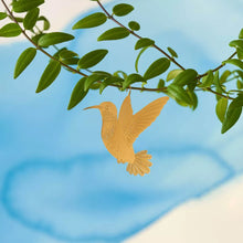 Afbeelding in Gallery-weergave laden, Plant Animal: Kolibri
