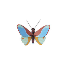 Afbeelding in Gallery-weergave laden, Claudina Butterfly
