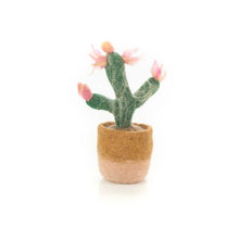 Afbeelding in Gallery-weergave laden, Happy Houseplant - Pink Cactus
