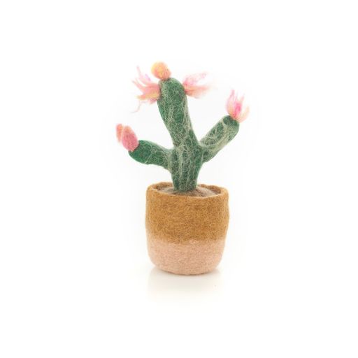 Happy Houseplant - Pink Cactus