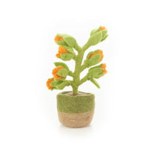 Afbeelding in Gallery-weergave laden, Happy Houseplant - Orange Bloom
