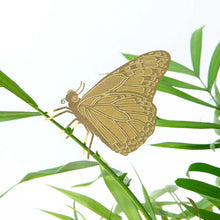 Charger l&#39;image dans la galerie, Animal végétal : Papillon
