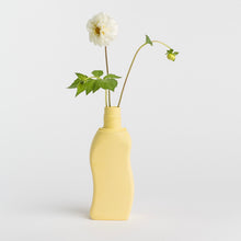 Afbeelding in Gallery-weergave laden, Bottle Vase #12 Sun

