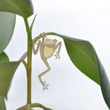Load image into Gallery viewer, Plant Animal: Tree Frog
